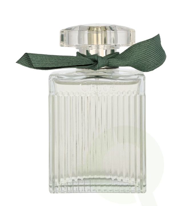 Chloe Rose Naturelle Intense Edp Spray 100 ml in the group BEAUTY & HEALTH / Fragrance & Perfume / Perfumes / Perfume for her at TP E-commerce Nordic AB (C46516)