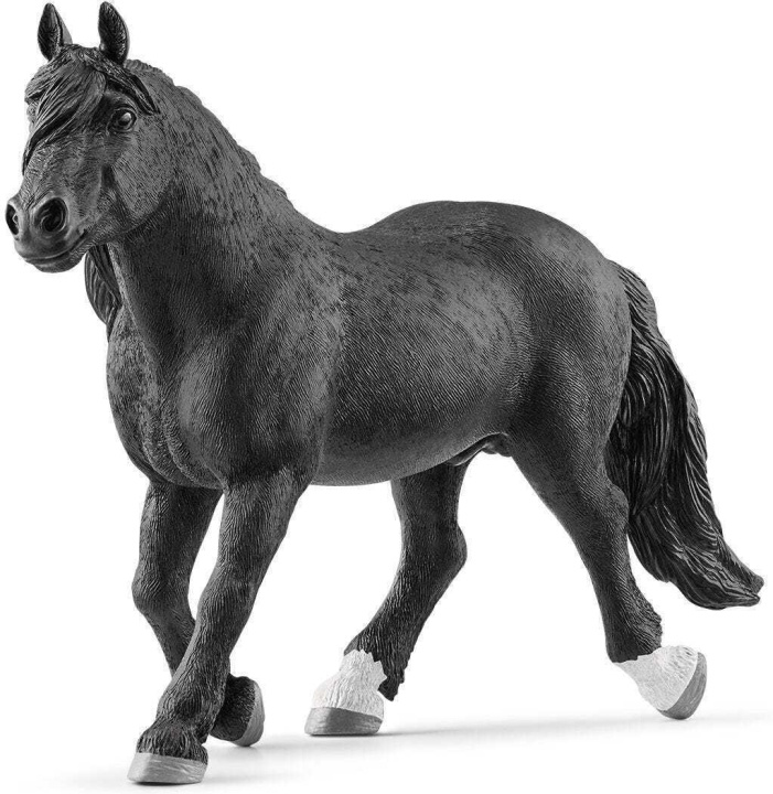 Schleich Horse Club 13958 Norikerhingst in the group TOYS, KIDS & BABY PRODUCTS / Toys / Figures, Miniatures & accessories at TP E-commerce Nordic AB (C47858)