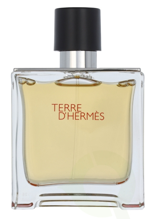 Hermes Terre D\'Hermes Parfum Spray 75 ml in the group BEAUTY & HEALTH / Fragrance & Perfume / Perfumes / Perfume for him at TP E-commerce Nordic AB (C48587)