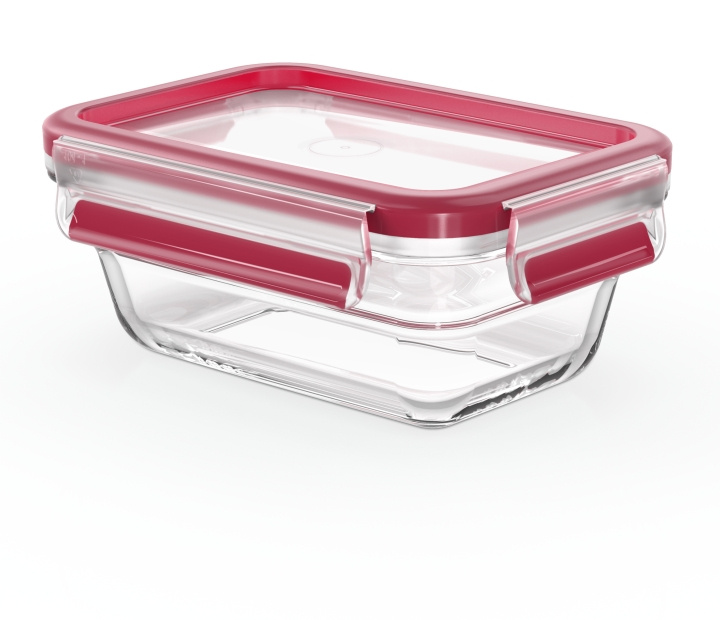 Tefal MasterSeal Glasförvaringslåda, glas, 0,45 L in the group HOME, HOUSEHOLD & GARDEN / Kitchen utensils / Lunch boxes & Food containers at TP E-commerce Nordic AB (C58184)