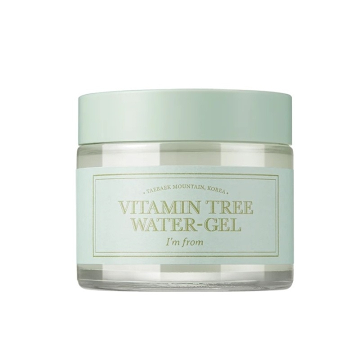 I\'m From Vitamin Tree Water Gel 75g in the group BEAUTY & HEALTH / Skin care / Face / Face creams at TP E-commerce Nordic AB (C58332)
