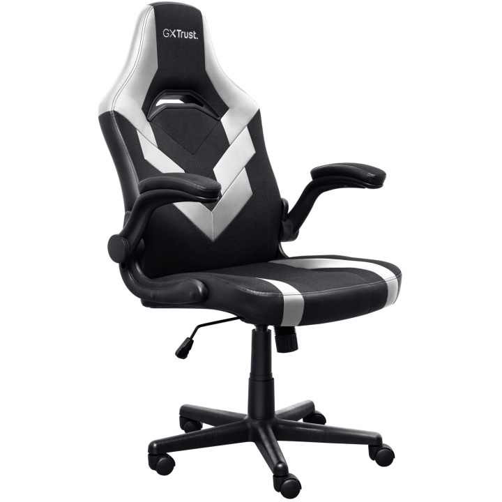 Trust GXT 703W Riye Gamingstol Vit in the group COMPUTERS & PERIPHERALS / GAMING / Gaming chairs at TP E-commerce Nordic AB (C60292)