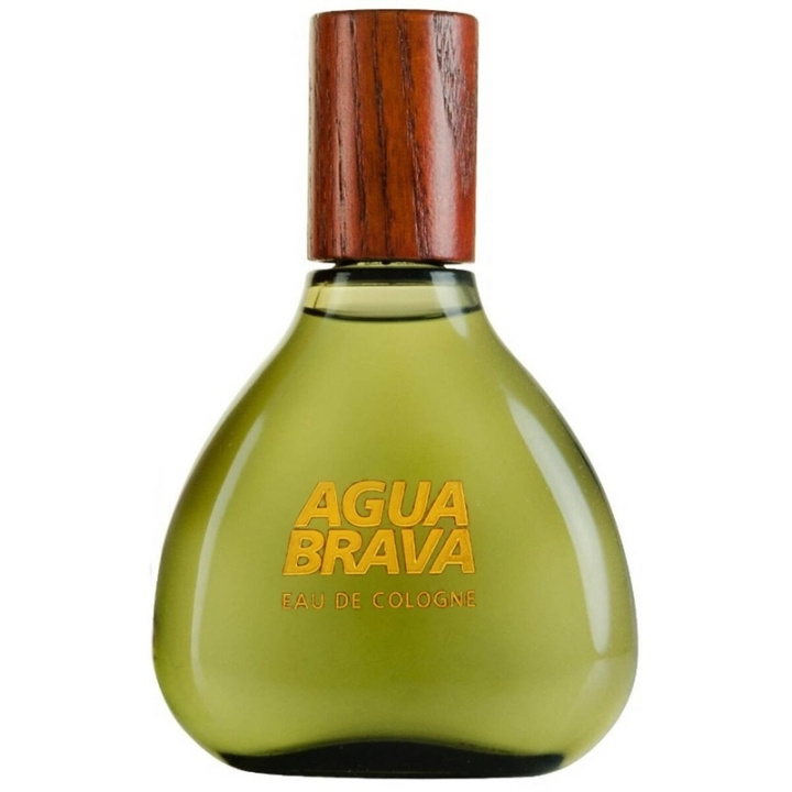 Antonio Puig Puig Agua Brava Edc 100ml in the group BEAUTY & HEALTH / Fragrance & Perfume / Perfumes / Perfume for him at TP E-commerce Nordic AB (C60585)