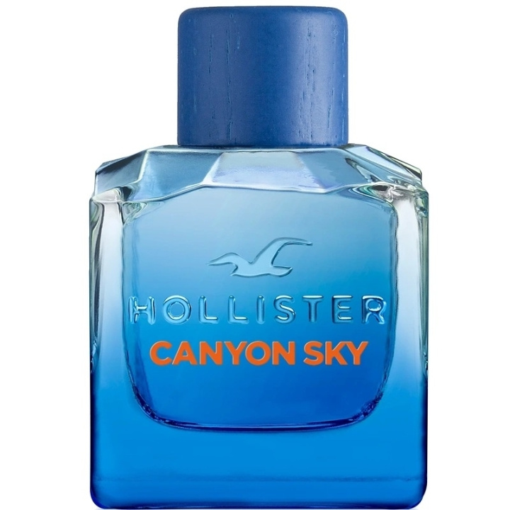 Hollister Canyon Sky For Him Edt 100ml in the group BEAUTY & HEALTH / Fragrance & Perfume / Perfumes / Perfume for him at TP E-commerce Nordic AB (C62239)