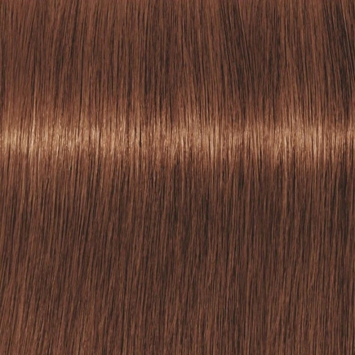 Schwarzkopf Professional Igora Vibrance Kit 5-67 Light Brown Chocolate Copper in the group BEAUTY & HEALTH / Hair & Styling / Hair care / Hair Dye / Hair Dye & Color bombs at TP E-commerce Nordic AB (C62327)