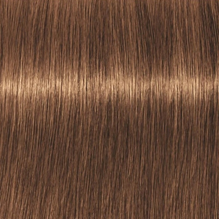 Schwarzkopf Professional Igora Vibrance Kit 7-55 Medium Blonde Gold Extra in the group BEAUTY & HEALTH / Hair & Styling / Hair care / Hair Dye / Hair Dye & Color bombs at TP E-commerce Nordic AB (C62336)
