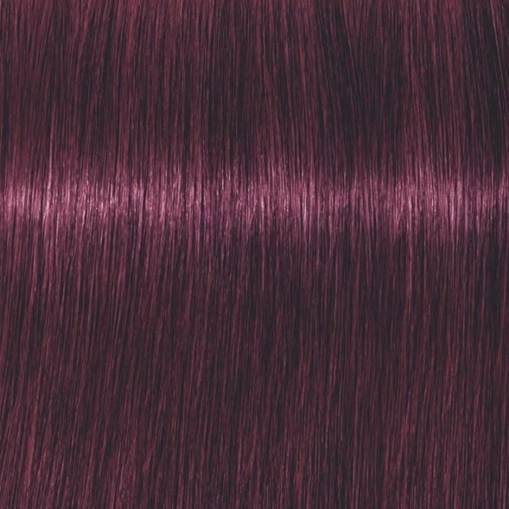 Schwarzkopf Professional Igora Vibrance Kit 6-99 Dark Blonde Violet Extra in the group BEAUTY & HEALTH / Hair & Styling / Hair care / Hair Dye / Hair Dye & Color bombs at TP E-commerce Nordic AB (C62337)