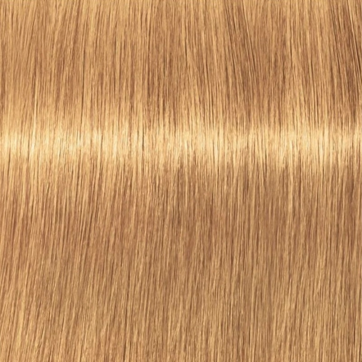 Schwarzkopf Professional Igora Vibrance Kit 9-55 Extra Light Blonde Gold Extra in the group BEAUTY & HEALTH / Hair & Styling / Hair care / Hair Dye / Hair Dye & Color bombs at TP E-commerce Nordic AB (C62347)