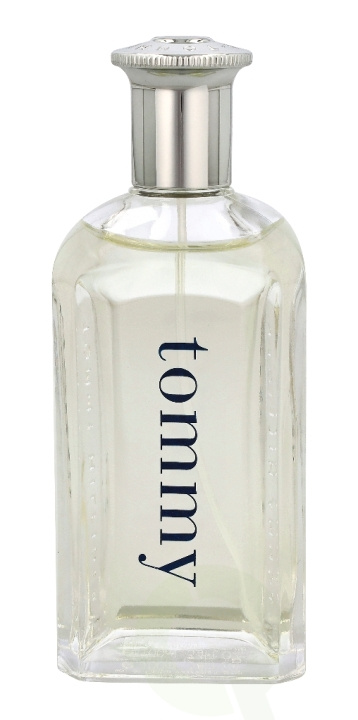 Tommy Hilfiger Tommy Boy Edt Spray 100 ml in the group BEAUTY & HEALTH / Fragrance & Perfume / Perfumes / Perfume for him at TP E-commerce Nordic AB (C72007)