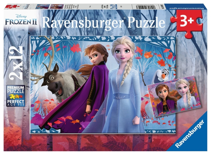 Ravensburger Frozen 2 Journey Into The Unknown 2x12p - 05009 in the group TOYS, KIDS & BABY PRODUCTS / Toys / Kids puzzle at TP E-commerce Nordic AB (C85765)