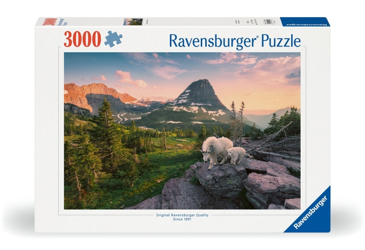 Ravensburger Puzzle Foto City Landscape 3000p (12000809) in the group Sport, leisure & Hobby / Hobby / Puzzle at TP E-commerce Nordic AB (C86133)