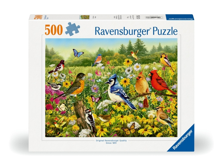 Ravensburger Puzzle Birds in the Meadow 500p (12000336) in the group Sport, leisure & Hobby / Hobby / Puzzle at TP E-commerce Nordic AB (C86444)