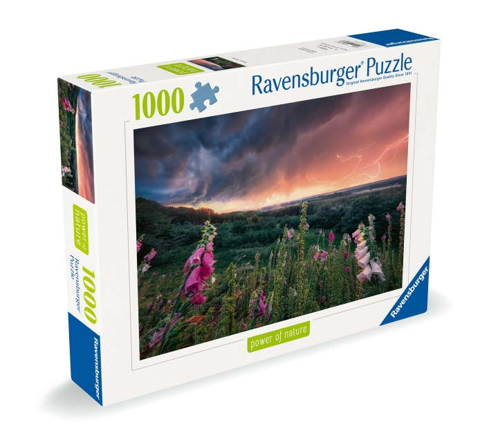 Ravensburger Puzzle Dreamy Thunder 1000p (12000793) in the group Sport, leisure & Hobby / Hobby / Puzzle at TP E-commerce Nordic AB (C86531)