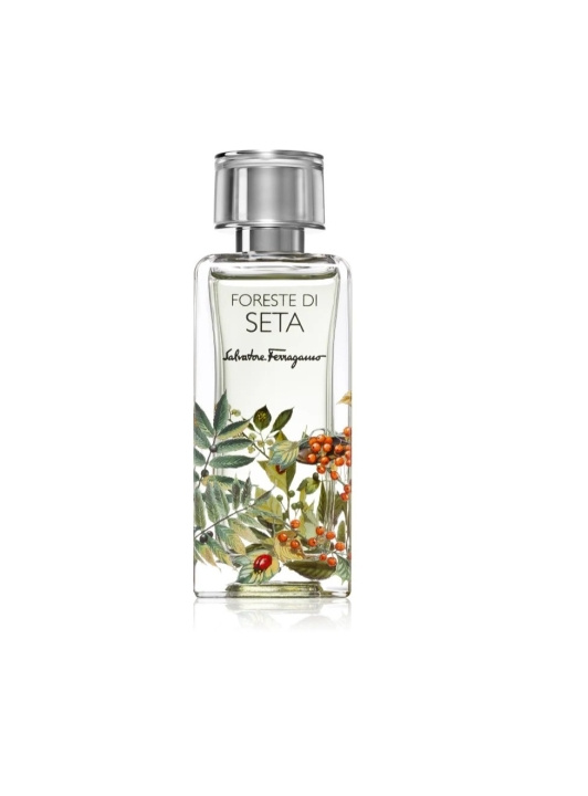 Salvatore Ferragamo Foreste Di Seta EDP 100 ml in the group BEAUTY & HEALTH / Fragrance & Perfume / Perfumes / Unisex at TP E-commerce Nordic AB (C89861)