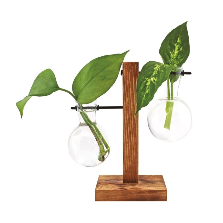 Winkee Hydro Vases Lilly - Vase in the group Sport, leisure & Hobby / Fun stuff / Smart home at TP E-commerce Nordic AB (C99132)