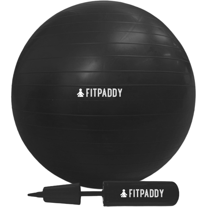 Fitpaddy Gym Ball 65 cm in the group Sport, leisure & Hobby / Exercise equipment / Exercise accessories at TP E-commerce Nordic AB (D11517)