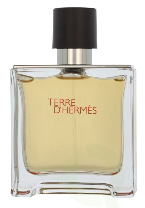 Hermes Terre D\'Hermes Edp Spray 75 ml in the group BEAUTY & HEALTH / Fragrance & Perfume / Perfumes / Perfume for him at TP E-commerce Nordic AB (D11740)