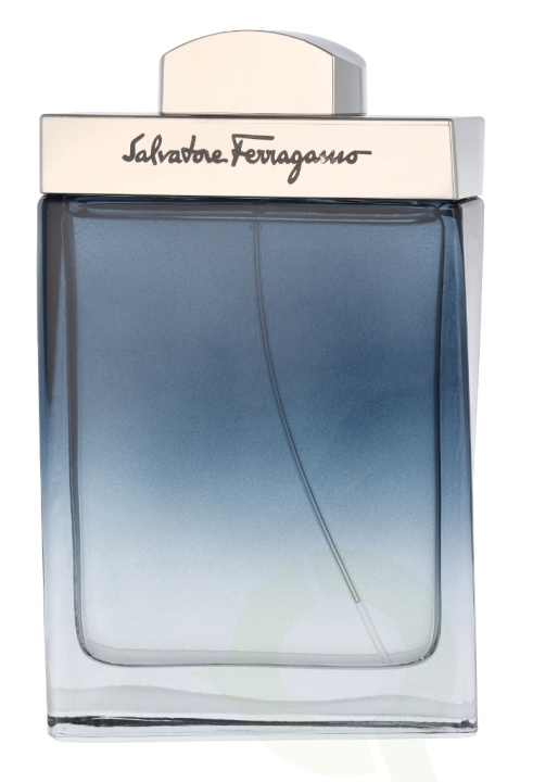 Ferragamo Subtil Pour Homme Edt Spray 100 ml in the group BEAUTY & HEALTH / Fragrance & Perfume / Perfumes / Perfume for him at TP E-commerce Nordic AB (D14837)