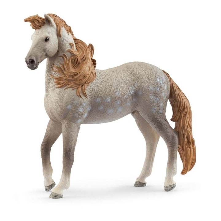 Schleich Andalusian Stallion - (14895) in the group TOYS, KIDS & BABY PRODUCTS / Toys / Figures, Miniatures & accessories at TP E-commerce Nordic AB (D15330)
