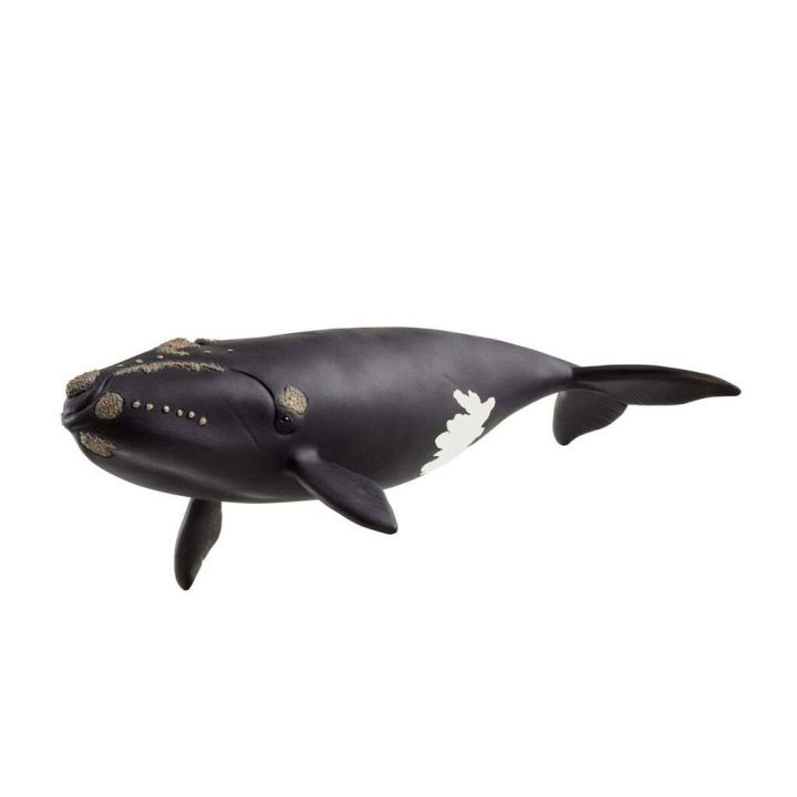 Schleich North Atlantic Right Whale - (14878) in the group TOYS, KIDS & BABY PRODUCTS / Toys / Figures, Miniatures & accessories at TP E-commerce Nordic AB (D15333)