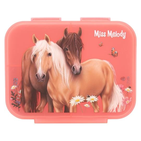 Miss Melody Lunchbox FLOWERS ( 0412895 ) in the group TOYS, KIDS & BABY PRODUCTS / Eat & Drink / Children\'s tableware at TP E-commerce Nordic AB (D15601)