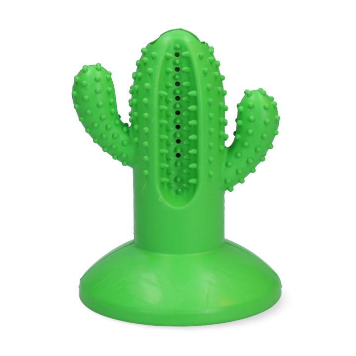 AFP Dental Cactus Large Green 15cm - (AFPH04198) in the group HOME, HOUSEHOLD & GARDEN / Pet Accessories / Dog at TP E-commerce Nordic AB (D16824)
