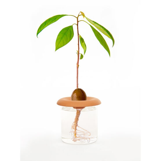 Kikkerland Terracotta - Seed Sprouters (CD535) in the group Sport, leisure & Hobby / Fun stuff / Smart home at TP E-commerce Nordic AB (D16959)