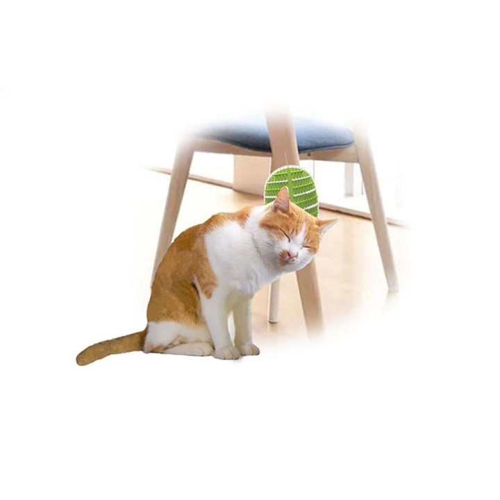 AFP All For Paws - Groomer 2 In 1 20.3X11X2,2Cm - (781.1025) in the group HOME, HOUSEHOLD & GARDEN / Pet Accessories / Cat at TP E-commerce Nordic AB (D17139)