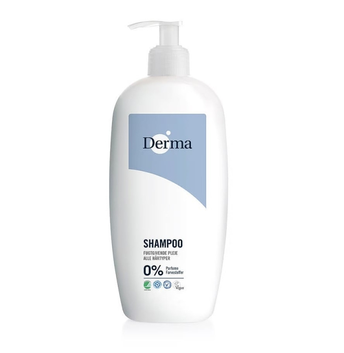 Derma Family Shampoo 1000 ml in the group BEAUTY & HEALTH / Hair & Styling / Hair care / Schampoo at TP E-commerce Nordic AB (D17614)