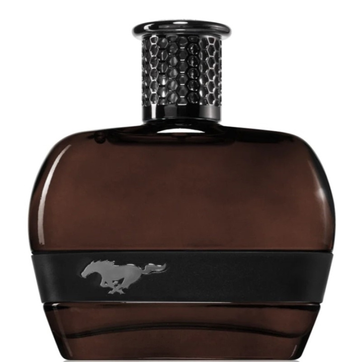 Ford Mustang Black For Men Edt 100ml in the group BEAUTY & HEALTH / Fragrance & Perfume / Perfumes / Perfume for him at TP E-commerce Nordic AB (D18200)