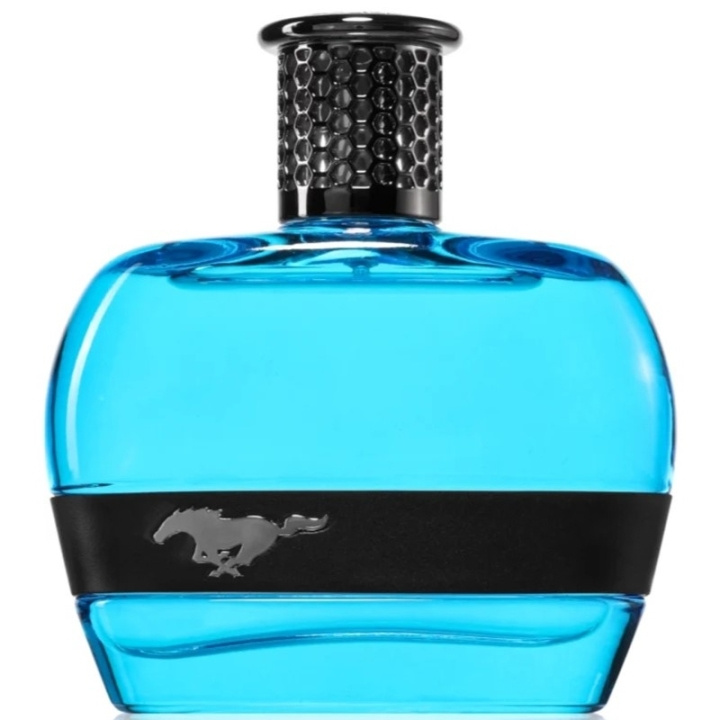 Ford Mustang Blue For Men Edt 100ml in the group BEAUTY & HEALTH / Fragrance & Perfume / Perfumes / Perfume for him at TP E-commerce Nordic AB (D18202)