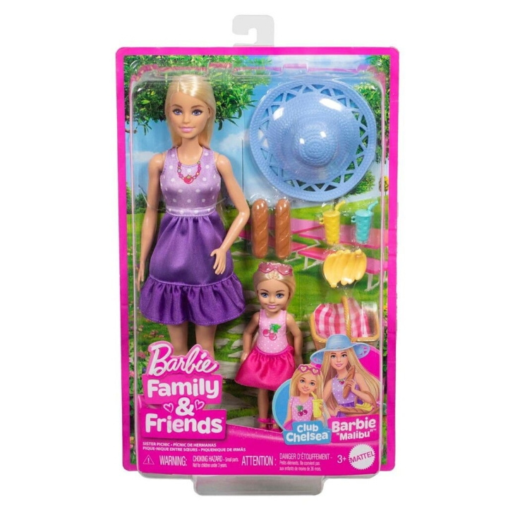 Barbie Malibu & Chelsea Core Dolls - (960-2504) in the group TOYS, KIDS & BABY PRODUCTS / Toys / Docks & Accessories at TP E-commerce Nordic AB (D19248)