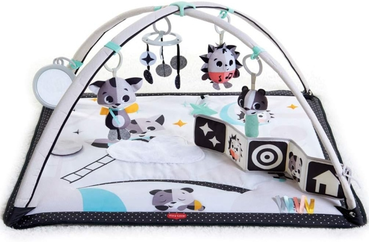 Tiny Love Gymini Magical Tales - (3333120594) in the group TOYS, KIDS & BABY PRODUCTS / Baby toys / Activity toys at TP E-commerce Nordic AB (D19584)