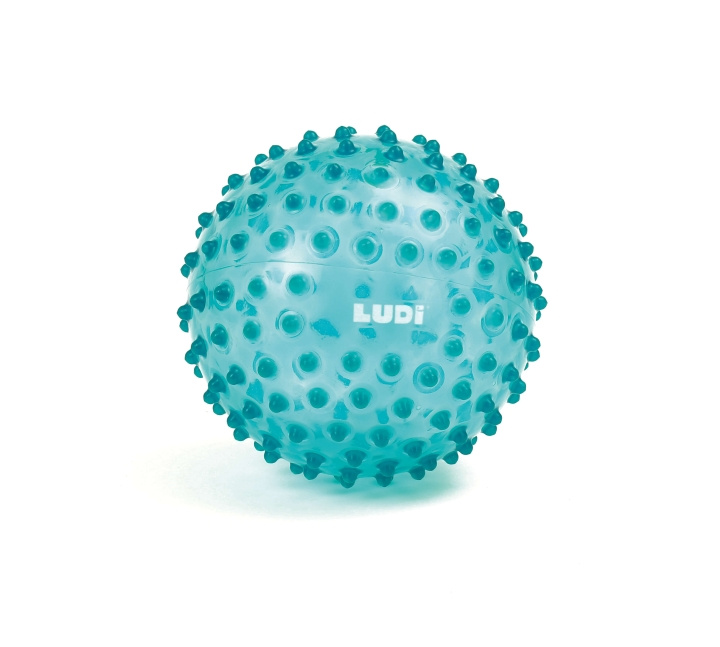 LUDI Sensory Ball - Blue - (LU30114) in the group TOYS, KIDS & BABY PRODUCTS / Outdoor toys at TP E-commerce Nordic AB (D19611)