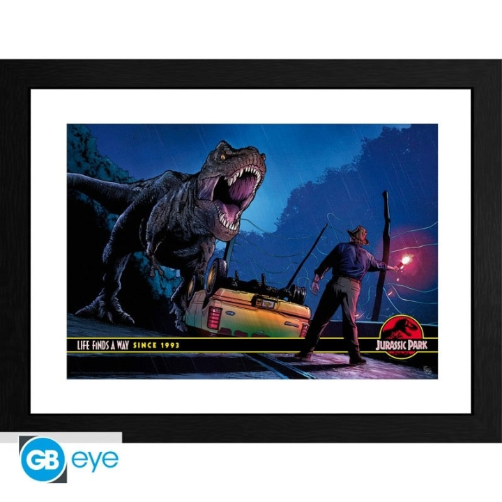 JURASSIC PARK - Framed print Alan Grant vs T-Rex (30x40) x2 in the group Sport, leisure & Hobby / Fun stuff / Collector\'s items at TP E-commerce Nordic AB (D20277)