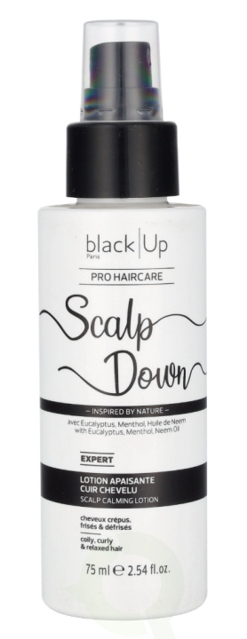 Black Up Scalp Down Calming Lotion 75 ml in the group BEAUTY & HEALTH / Hair & Styling / Hair care / Hair Mask at TP E-commerce Nordic AB (D21136)