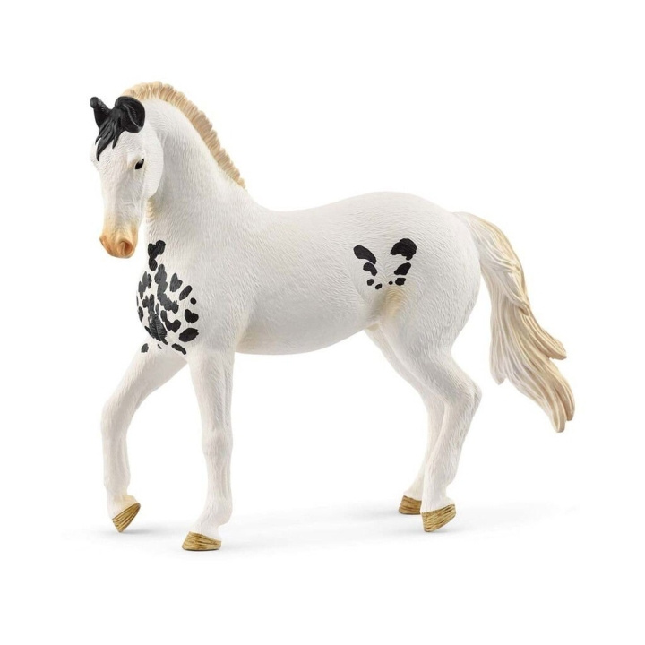 Schleich Marwari Stallion - (14898) in the group TOYS, KIDS & BABY PRODUCTS / Toys / Figures, Miniatures & accessories at TP E-commerce Nordic AB (D21523)