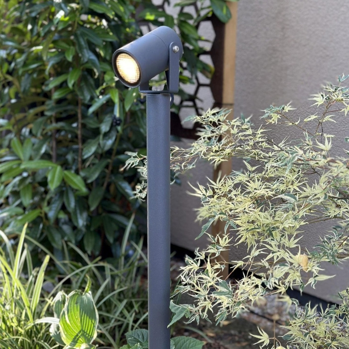 LightsOn Luna 65 Pollare/Trädgårdsspot 350 lm 5W 35° Grå in the group HOME, HOUSEHOLD & GARDEN / Electricity & Lighting / Outdoor lighting at TP E-commerce Nordic AB (D21642)