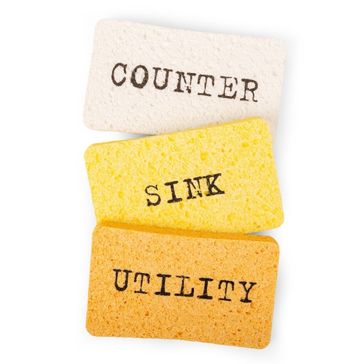 Kikkerland Counter Intelligence Pop-Up Sponges - (wet) in the group HOME, HOUSEHOLD & GARDEN / Kitchen utensils / Other kitchen tools at TP E-commerce Nordic AB (D22466)