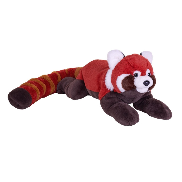 Wild Republic Gosedjur Earthkins Kattbjörn in the group TOYS, KIDS & BABY PRODUCTS / Baby toys / stuffed animals at TP E-commerce Nordic AB (D23120)