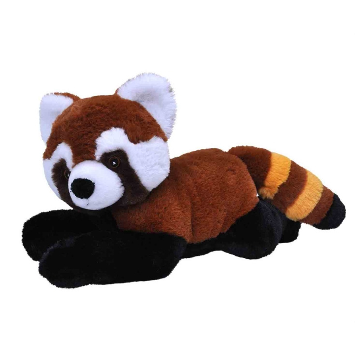 Wild Republic Gosedjur Ecokins 30 cm Kattbjörn in the group TOYS, KIDS & BABY PRODUCTS / Baby toys / stuffed animals at TP E-commerce Nordic AB (D23148)