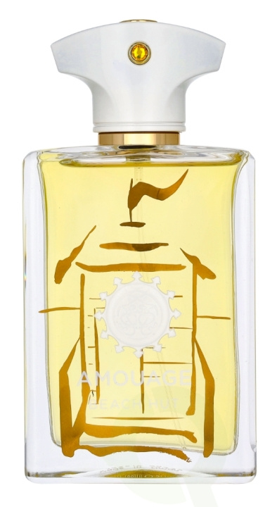 Amouage Beach Hut Man Edp Spray 100 ml in the group BEAUTY & HEALTH / Fragrance & Perfume / Perfumes / Perfume for him at TP E-commerce Nordic AB (D23498)