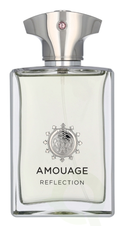 Amouage Reflection Man Edp Spray 100 ml in the group BEAUTY & HEALTH / Fragrance & Perfume / Perfumes / Perfume for him at TP E-commerce Nordic AB (D23501)