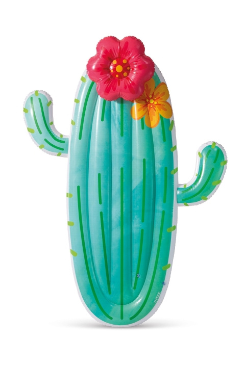 INTEX Cactus Float - (58793) in the group TOYS, KIDS & BABY PRODUCTS / Outdoor toys / Bath toys at TP E-commerce Nordic AB (D24256)