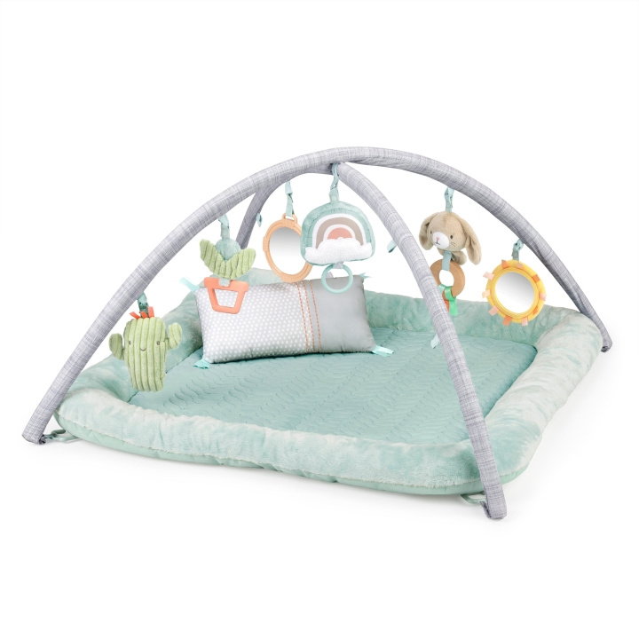 Ingenuity Premium Plush Gym - (IN-12919) in the group TOYS, KIDS & BABY PRODUCTS / Baby toys / Activity toys at TP E-commerce Nordic AB (D24273)