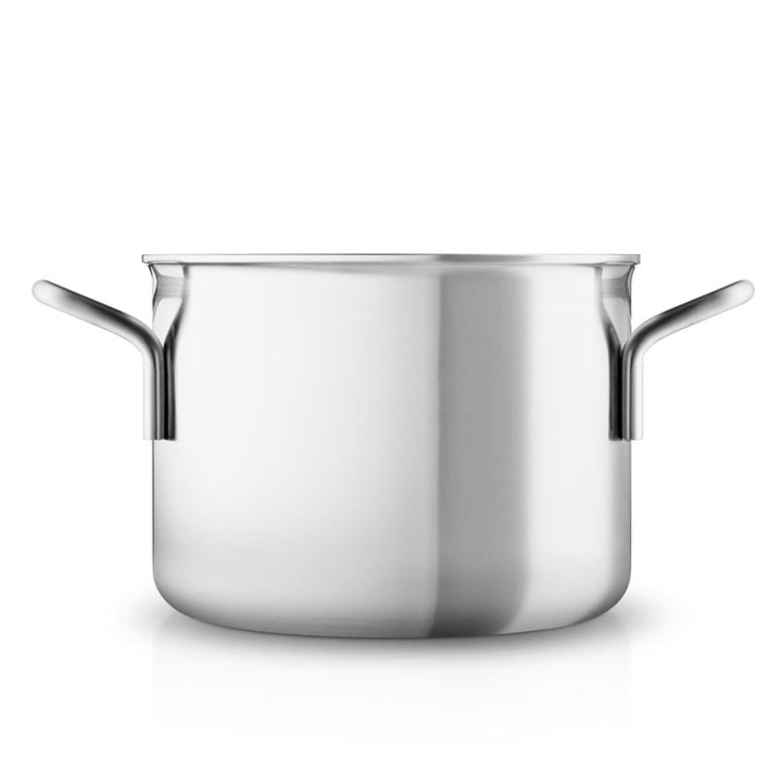 Eva Trio Multi Pot Stainless Steel 4.8 L, 20cm (246348) in the group HOME, HOUSEHOLD & GARDEN / Kitchen utensils / Pots & Pans at TP E-commerce Nordic AB (D24454)