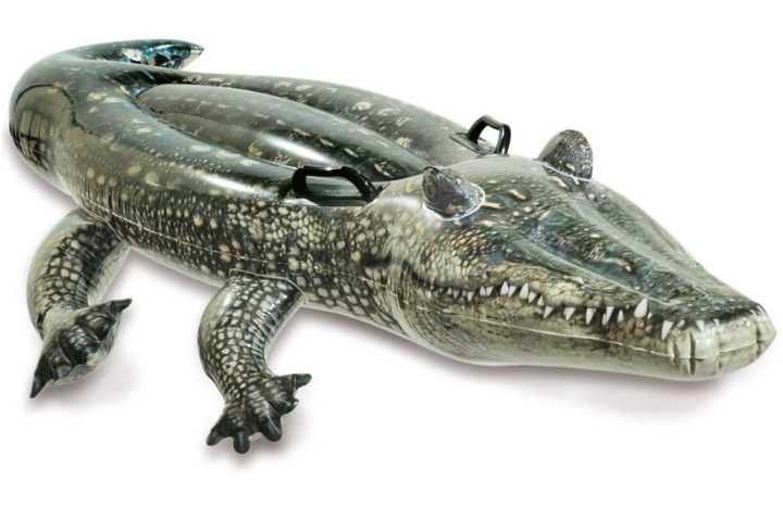 INTEX Realistic Gator Ride-On (657551) in the group TOYS, KIDS & BABY PRODUCTS / Outdoor toys / Bath toys at TP E-commerce Nordic AB (D24520)