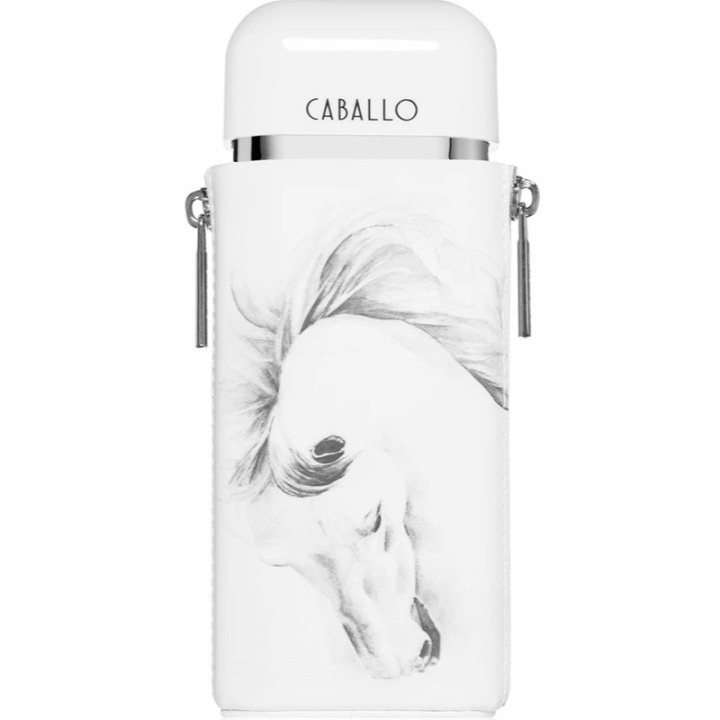 Armaf Caballo Men Edp 100ml in the group BEAUTY & HEALTH / Fragrance & Perfume / Perfumes / Perfume for him at TP E-commerce Nordic AB (D25144)