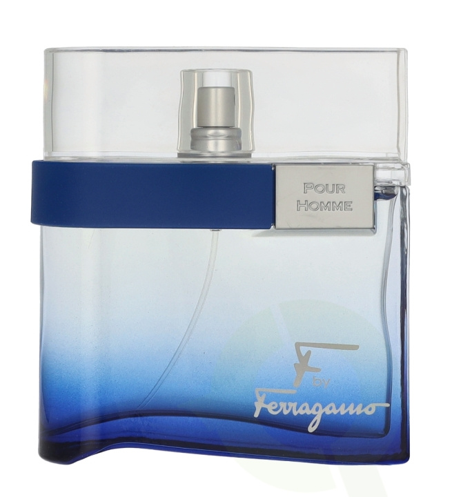 Ferragamo F Pour Homme Free Time Edt Spray 100 ml in the group BEAUTY & HEALTH / Fragrance & Perfume / Perfumes / Perfume for him at TP E-commerce Nordic AB (D25213)