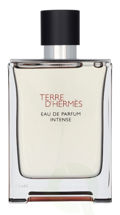 Hermes Terre D\'Hermes Eau Intense Parfum Spray 100 ml in the group BEAUTY & HEALTH / Fragrance & Perfume / Perfumes / Perfume for him at TP E-commerce Nordic AB (D25484)